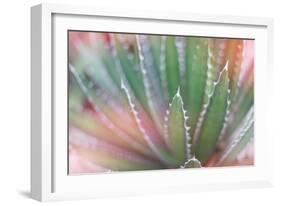 Dream Desert II-Sue Schlabach-Framed Art Print