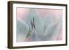 Dream Desert V-Sue Schlabach-Framed Art Print