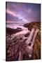 Dream Falls, Ocean Waterfall, California Coast, Sonoma-Vincent James-Stretched Canvas