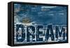 Dream Grunge-Diane Stimson-Framed Stretched Canvas