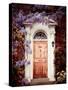 Dream Home-Irene Suchocki-Stretched Canvas