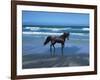 Dream Horses 004-Bob Langrish-Framed Photographic Print