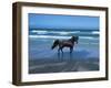 Dream Horses 004-Bob Langrish-Framed Photographic Print