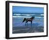 Dream Horses 004-Bob Langrish-Framed Photographic Print