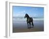 Dream Horses 013-Bob Langrish-Framed Photographic Print