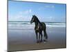 Dream Horses 013-Bob Langrish-Mounted Photographic Print