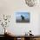 Dream Horses 013-Bob Langrish-Photographic Print displayed on a wall