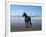 Dream Horses 013-Bob Langrish-Framed Photographic Print
