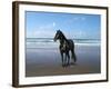 Dream Horses 013-Bob Langrish-Framed Photographic Print