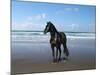 Dream Horses 013-Bob Langrish-Mounted Photographic Print