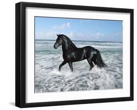 Dream Horses 015-Bob Langrish-Framed Premium Photographic Print