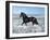 Dream Horses 015-Bob Langrish-Framed Premium Photographic Print