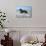 Dream Horses 015-Bob Langrish-Photographic Print displayed on a wall