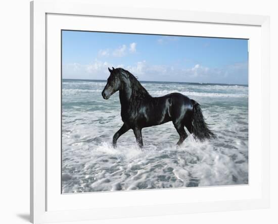 Dream Horses 015-Bob Langrish-Framed Photographic Print