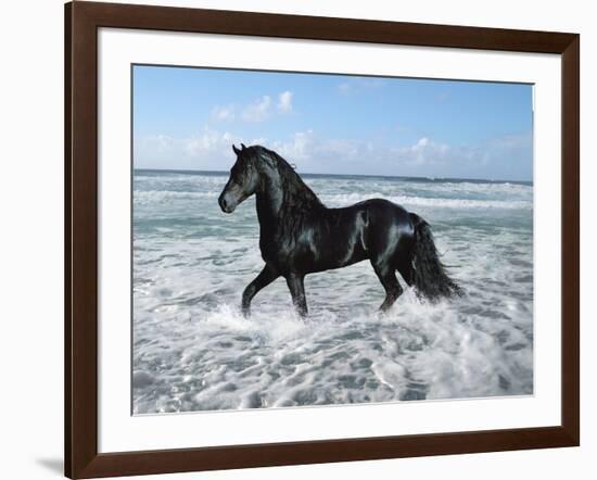 Dream Horses 015-Bob Langrish-Framed Photographic Print