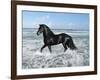 Dream Horses 015-Bob Langrish-Framed Photographic Print