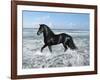 Dream Horses 015-Bob Langrish-Framed Photographic Print