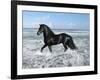 Dream Horses 015-Bob Langrish-Framed Photographic Print