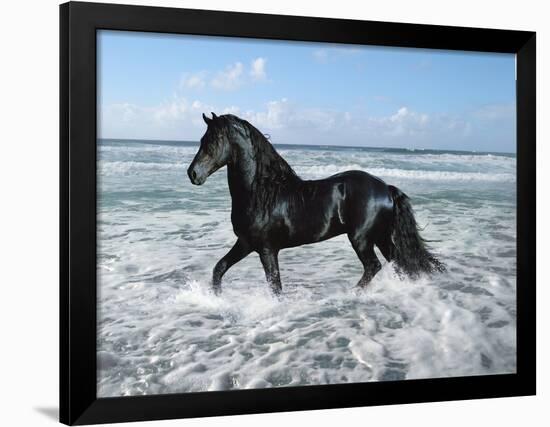 Dream Horses 015-Bob Langrish-Framed Photographic Print