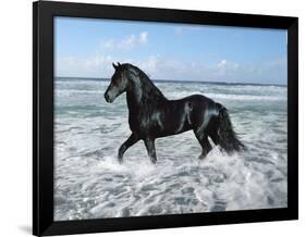 Dream Horses 015-Bob Langrish-Framed Photographic Print