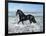 Dream Horses 015-Bob Langrish-Framed Photographic Print