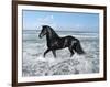 Dream Horses 015-Bob Langrish-Framed Photographic Print