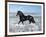 Dream Horses 015-Bob Langrish-Framed Photographic Print