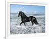 Dream Horses 015-Bob Langrish-Framed Photographic Print