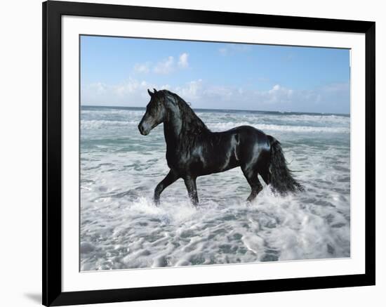 Dream Horses 015-Bob Langrish-Framed Photographic Print