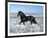 Dream Horses 015-Bob Langrish-Framed Photographic Print