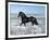 Dream Horses 015-Bob Langrish-Framed Photographic Print