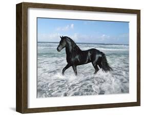 Dream Horses 015-Bob Langrish-Framed Photographic Print