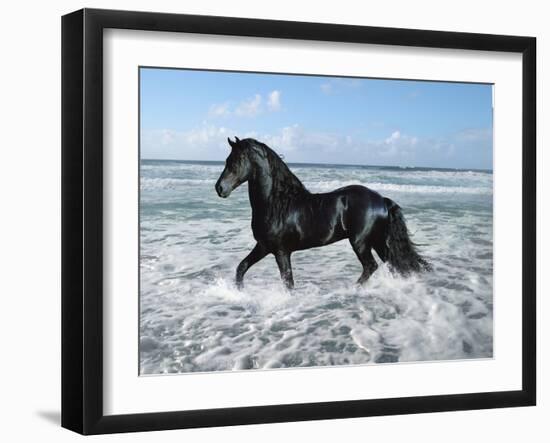 Dream Horses 015-Bob Langrish-Framed Photographic Print