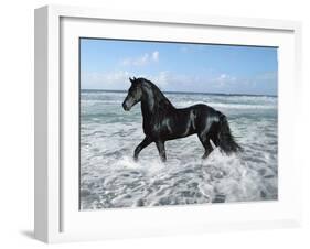 Dream Horses 015-Bob Langrish-Framed Photographic Print