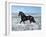 Dream Horses 015-Bob Langrish-Framed Photographic Print