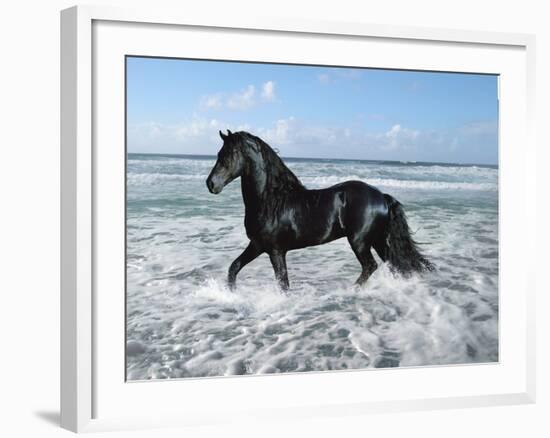 Dream Horses 015-Bob Langrish-Framed Photographic Print