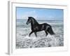 Dream Horses 015-Bob Langrish-Framed Photographic Print