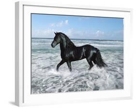 Dream Horses 015-Bob Langrish-Framed Photographic Print