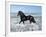 Dream Horses 015-Bob Langrish-Framed Photographic Print