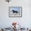 Dream Horses 015-Bob Langrish-Framed Photographic Print displayed on a wall