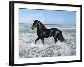 Dream Horses 015-Bob Langrish-Framed Photographic Print