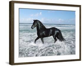 Dream Horses 015-Bob Langrish-Framed Photographic Print