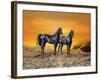 Dream Horses 016-Bob Langrish-Framed Photographic Print