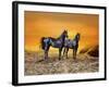 Dream Horses 016-Bob Langrish-Framed Photographic Print