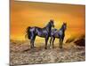 Dream Horses 016-Bob Langrish-Mounted Photographic Print