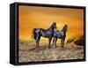 Dream Horses 016-Bob Langrish-Framed Stretched Canvas