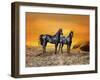 Dream Horses 016-Bob Langrish-Framed Photographic Print