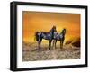 Dream Horses 016-Bob Langrish-Framed Photographic Print