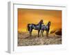 Dream Horses 016-Bob Langrish-Framed Photographic Print