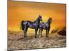 Dream Horses 016-Bob Langrish-Mounted Photographic Print